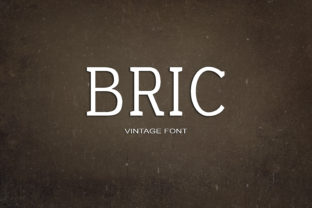 Branding with Bric: A Serif Font That Elevates Your Business