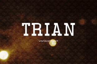 Choosing the Right Font for Your Website: A Real-World Test with Trian
