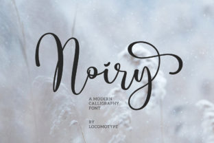 Font Choice That Elevates Your Brand: Noiry