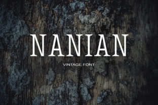Nanian: A Serif Font for Editorial Excellence
