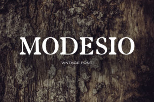 Testing Modesio for a Café Brand Identity